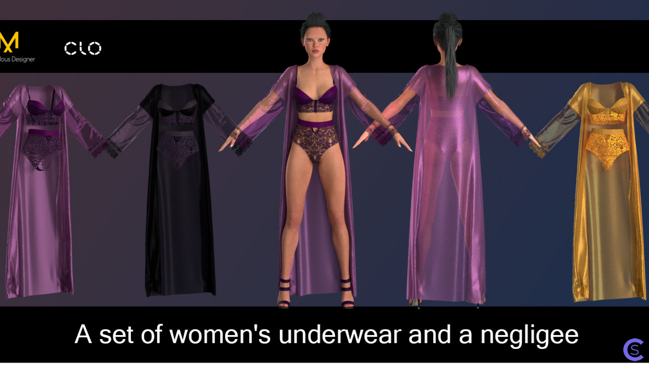 A set of women's underwear and a negligee