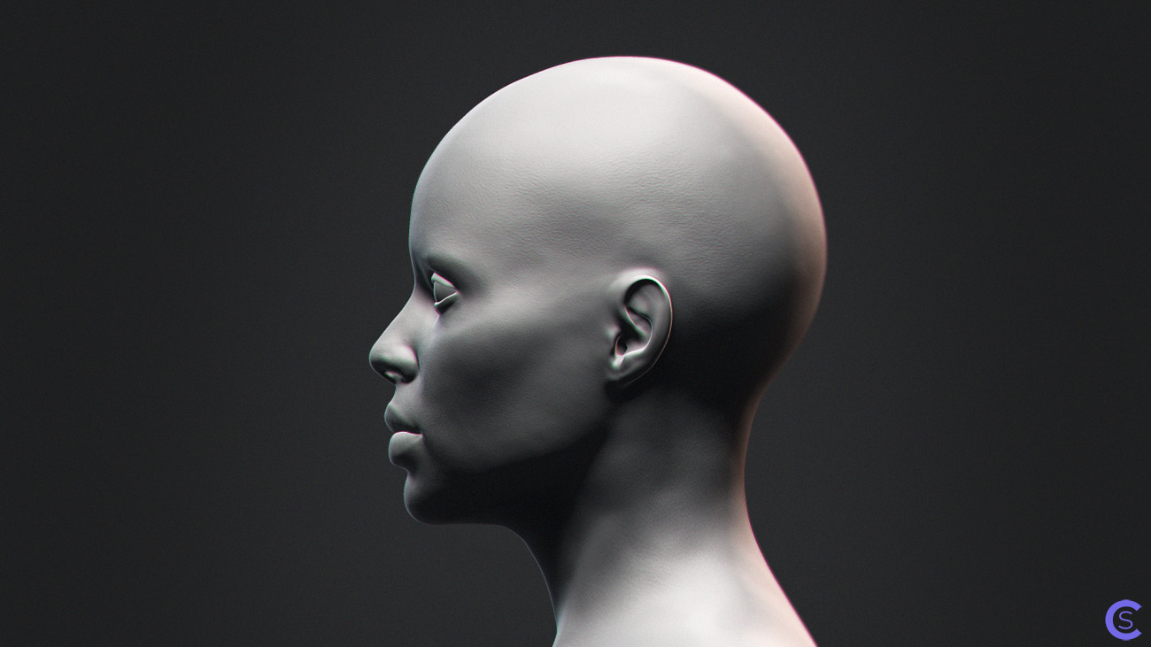 Голова африканской женщины / African Black Bust Female Head