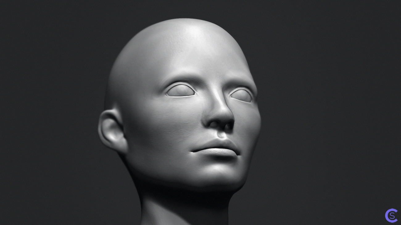 Бесплатная модель головы женщины / Free Bust Head Base Mesh